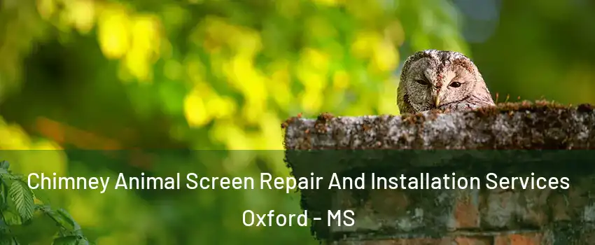  Chimney Animal Screen Repair And Installation Services Oxford - MS