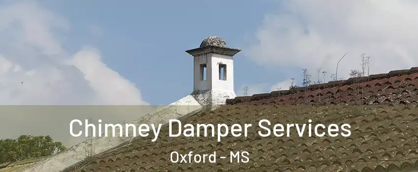  Chimney Damper Services Oxford - MS