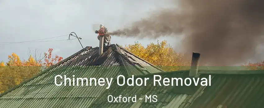  Chimney Odor Removal Oxford - MS