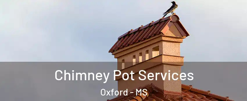  Chimney Pot Services Oxford - MS