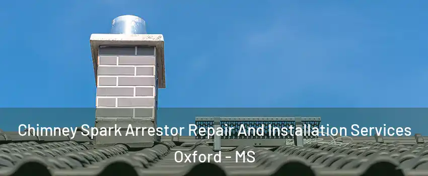  Chimney Spark Arrestor Repair And Installation Services Oxford - MS