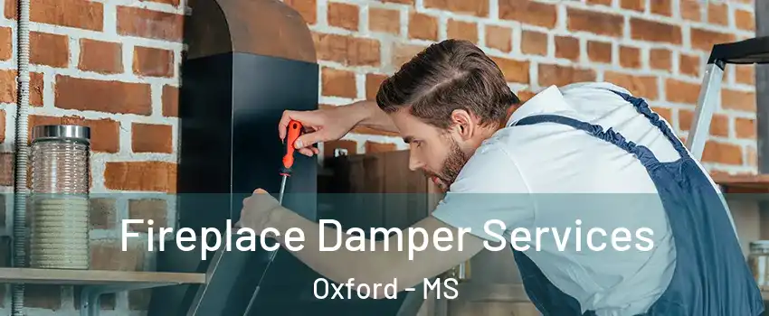  Fireplace Damper Services Oxford - MS