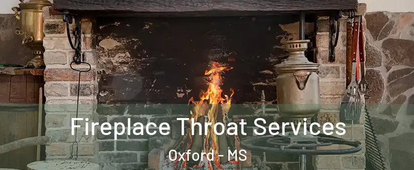  Fireplace Throat Services Oxford - MS