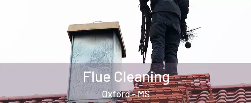  Flue Cleaning Oxford - MS