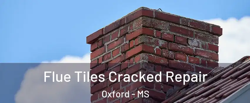  Flue Tiles Cracked Repair Oxford - MS