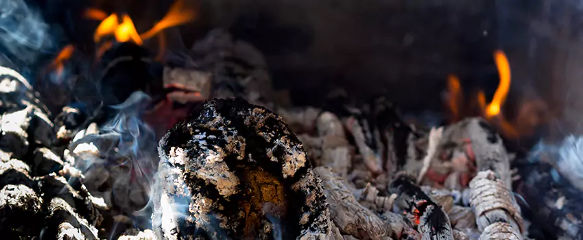 Creosote Removal Experts in Oxford, MS